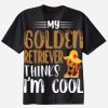 Ladies Perfect T Cotton T Shirt Thumbnail